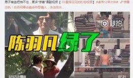 安徽爆料吴方圆事件视频,视频揭露惊人真相，引发社会关注