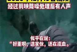 十一合村爆料事件视频全集,揭秘真相与争议