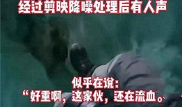十一合村爆料事件视频全集,揭秘真相与争议